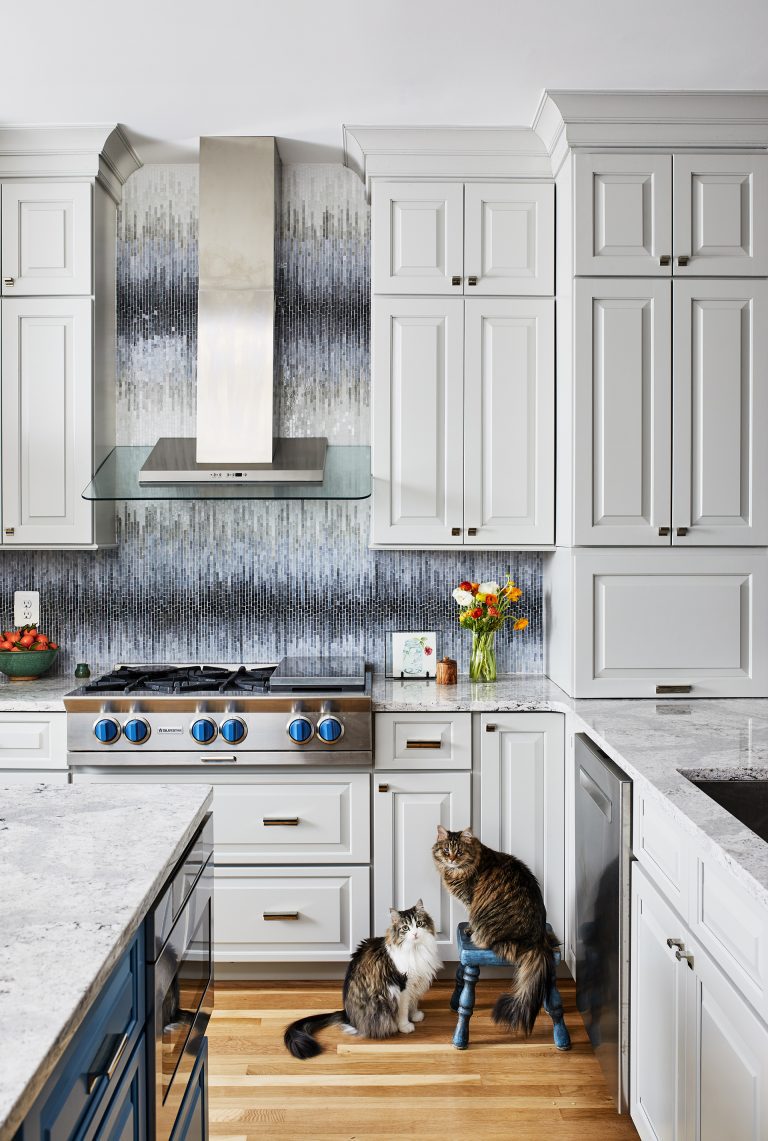 kitchen with white cabinetry wood floors blue island mosaic backsplash stainless steel appliances